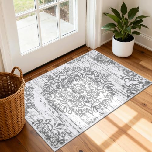 HEBE Indoor Door Mat 2'x3' (Grey / 2' x 3' (Rectangular))