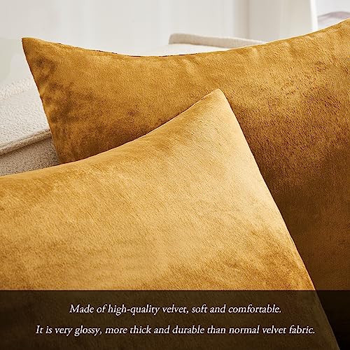 12x20 Inch Lumbar Velvet Throw Pillow Covers Dark Gold (20" x 12" (Pack of 2) / Dark Gold)