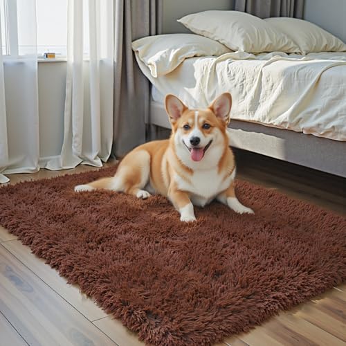 Fluffy Rug Shag Area Rug (Coffee / 3' x 5' (Rectangular))