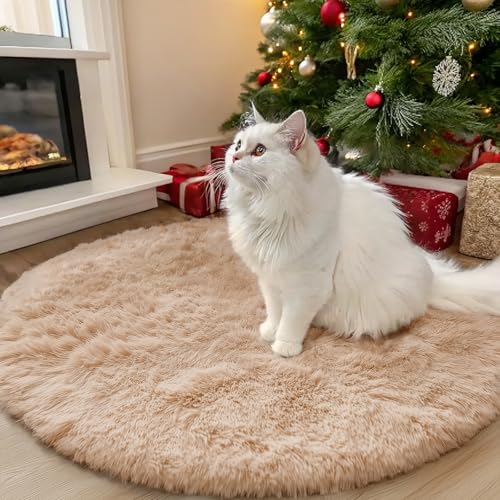 Beige Round Rugs for Bedroom (3 Ft Round / Beige)