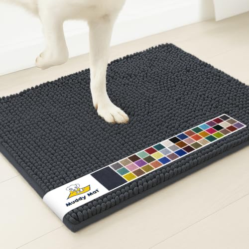 Super Water Absorbent Door Mat Indoor (Charcoal / 19" x 30")