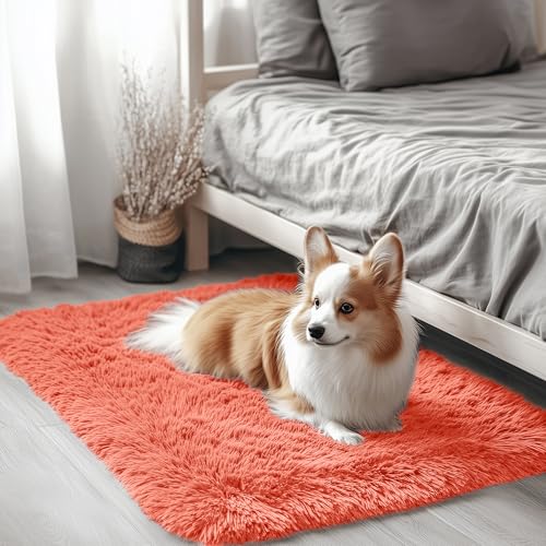 2x3 Machine Washable Small Bedside Rug (2x3 Ft / Coral Red)