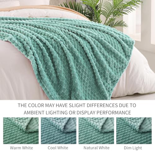 3D Fleece Queen Size Blanket for Bed (Celadon / Queen ( 90x90 IN ))