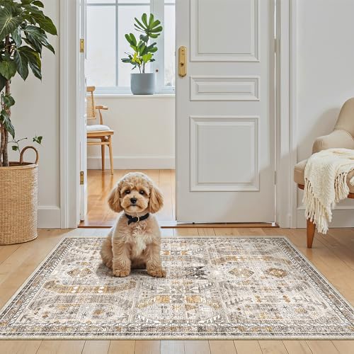 Washable Area Rug 2x3 Small Entryway Rugs Non (Brown/Gold / 2' x 3' (Rectangular))