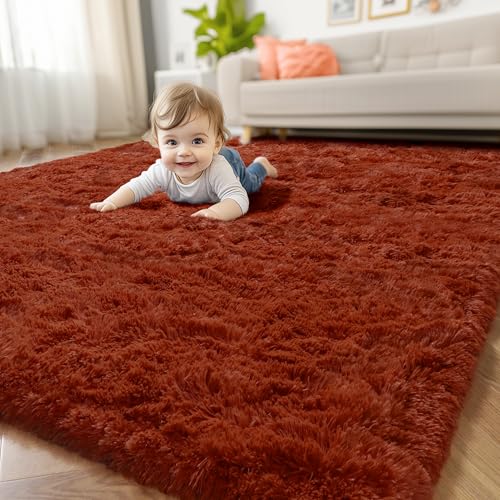 Terracotta Rust Shag Area Rug 5x8 for Living Room Bedroom Nursery (Terracotta / 5' x 8' (Rectangular))