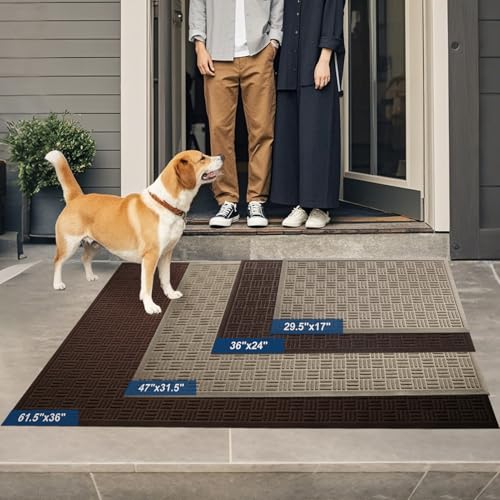 Front Door Mat Outside Entrance (Coffee / 3' x 5'2" (Rectangular))