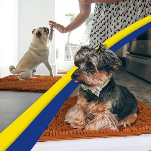 Super Water Absorbent Door Mat Indoor (Orange / 36" x 60")
