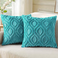 Faux Fur Plush Soft Turquoise Throw Pillow Covers 24x24 Set of 2 (24" x 24" (Pack of 2) / Turquoise)