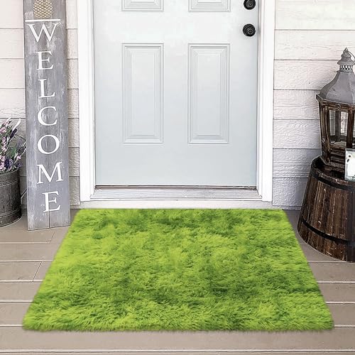 Small Tie Dyed Area Rug for Bedroom 2x3 Mini Green Fluffy Rug Mat Bedside Throw Rug for Kids Room Boys Teens Nursery Baby Dorm Living Room Home Decor Aesthetic Carpets (Tie-dyed Green / 2' x 3' (Rectangular))