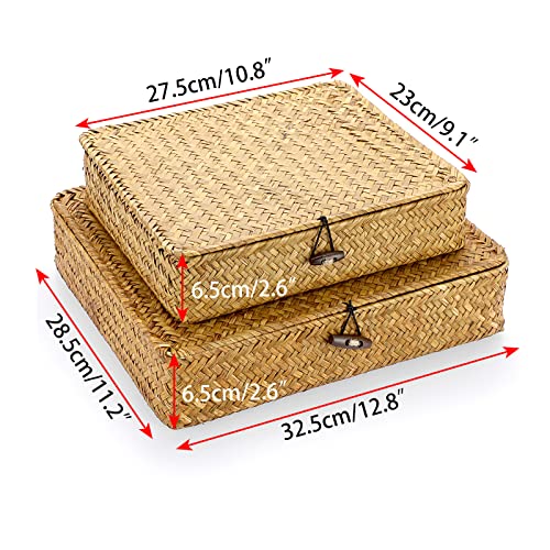 Set of 2 Flat Woven Wicker Storage Bins with Lid Seagrass Basket Box (Small+Large / Caramel)