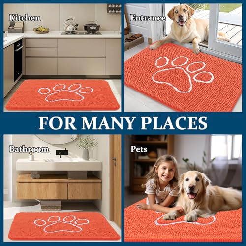 Dog Door Mat for Muddy Paws 30x20 (Coral / 30" X 20")