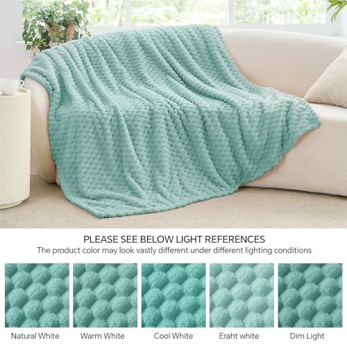 Haze Blue Twin Blanket for Couch (Haze Blue / Twin(60"x80"))