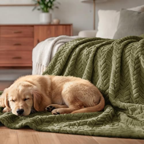 Fleece Throw Blanket for Couch Sofa (Olive Green / Throw ( 50x70 IN ))