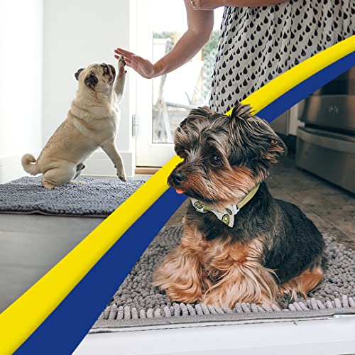 Super Water Absorbent Door Mat Indoor (Grey / 19" x 30")