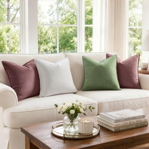 Decorative Jam Velvet Throw Pillow Covers for Couch 20x20 Inch (20" x 20" (Pack of 2) / Jam)