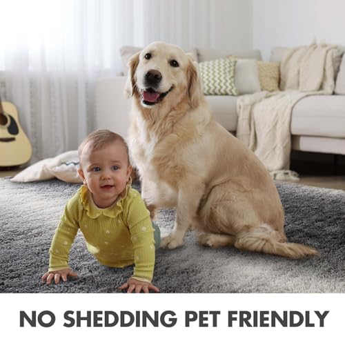 Area Rugs for Living Room (Fa Grey 4sm01 / 5' X 7' (Rectangular))