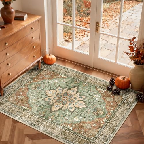 Washable Area Rug (Brick/Brown/Green / 2' x 3' (Rectangular))