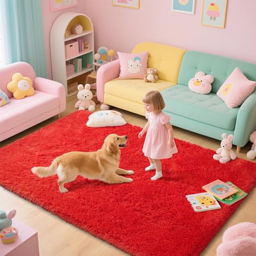 Red Shag Area Rugs for Bedroom Living Room