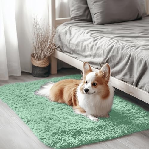 2x3 Machine Washable Small Bedside Rug (2x3 Ft / Mint Green)