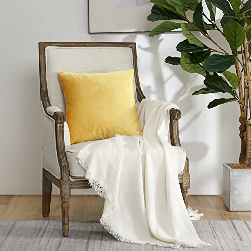 Yellow Velvet Pillow Covers 22x22 Decorative Pillows Pack of 2 (Yellow / 22" x 22" (Pack of 2))