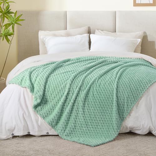 Mint Green Throw Blanket for Couch (Mint Green / Throw(50"x60"))