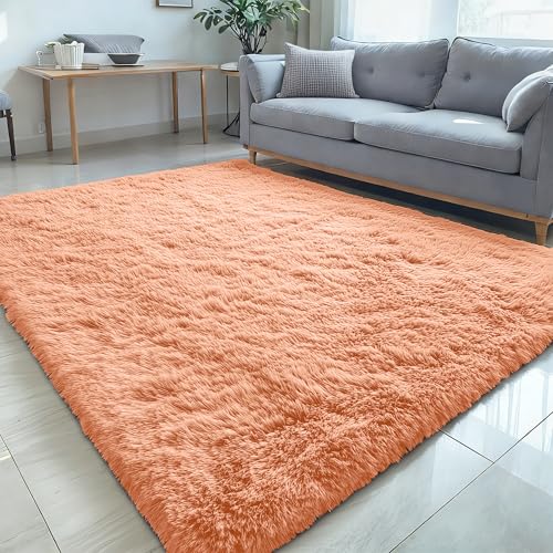 5x7 Machine Washable Large Area Rugs for Living Room (5x7 Ft / Muted Orange)