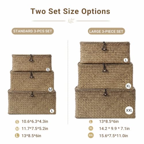 Wicker Storage Basket with Lid (Coffee* Set of 3)