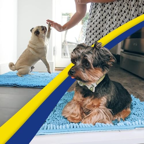 Super Water Absorbent Door Mat Indoor (Sky Blue / 48" x 72")