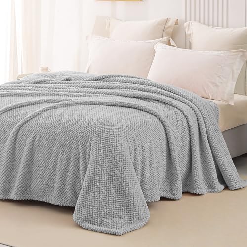Soft Fleece Queen Size Bed Blanket (Light Grey / Queen(90x90 In))