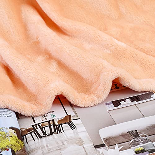 Pink Fleece Plush Throw Blanket 50"x60"for Couch Sofa Fuzzy Cozy Flannel (Coral Pink / Throw(50"×60"))
