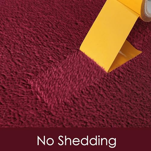 5x7 Area Rugs for Living Room Non Slip Dorm Bedroom Rug (5' x 7' (Rectangular) / Wine Red)