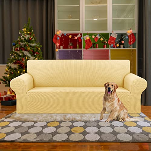Stretch Couch Covers for Sofa (Champagne / Large)
