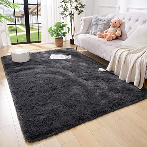 Premium Soft Area Rug 4x5.3 Feet (4' x 5'3" (Rectangular) / Dark Grey)