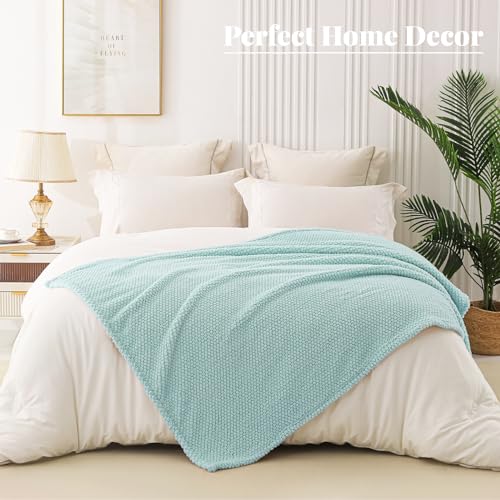 Extra Large Soft Fleece Throw Blanket for Couch (Light Blue / Throw(50x70 In))