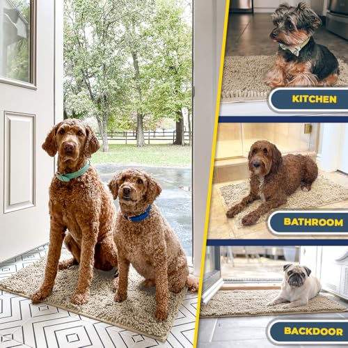 Super Water Absorbent Door Mat Indoor (Beige / 48" x 60")