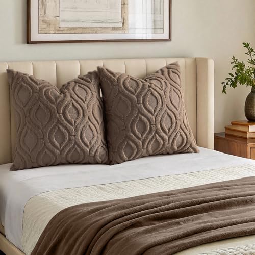 Faux Fur Plush Soft Brown Throw Pillow Covers 24x24 Set of 2 (24" x 24" (Pack of 2) / Brown)