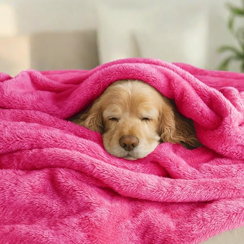 Fuzzy Plush Fleece Bed Blanket Queen Size (Hot Pink / 90x90 IN)