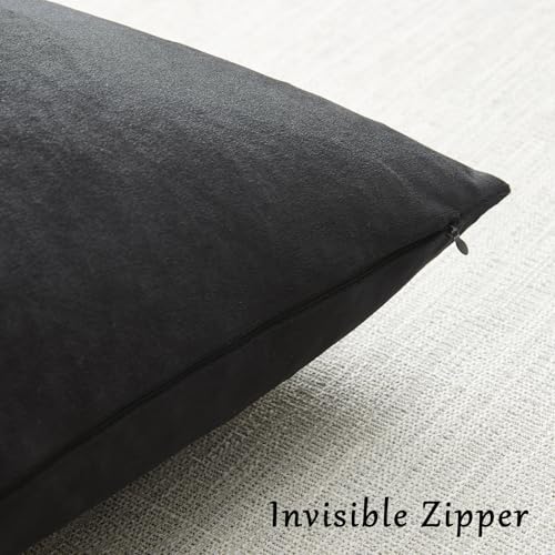 Black Velvet Pillow Covers 12x20 Decorative Pillows Pack of 2 (Black / 20" x 12" (Pack of 2))