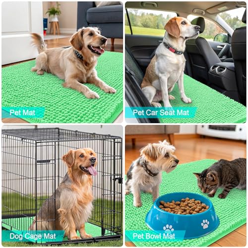 Dog Door Mat for Muddy Paws 36x24 (Mint Green / 36" X 24")