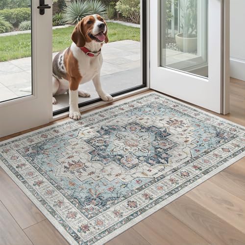 Washable Entry Rug 3x4 Area Rugs for Entryway Kitchen (Blue / 3' x 4' (Rectangular))