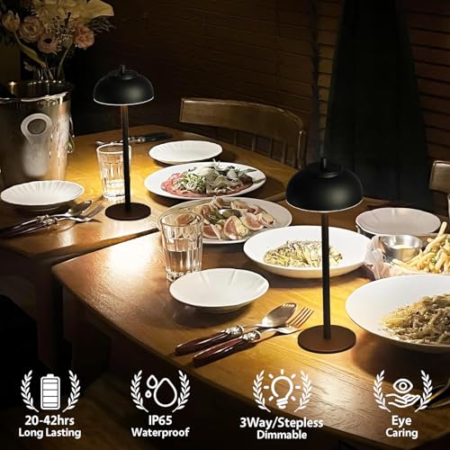 Cordless Table Lamps Rechargeable (Black-Set of Two)