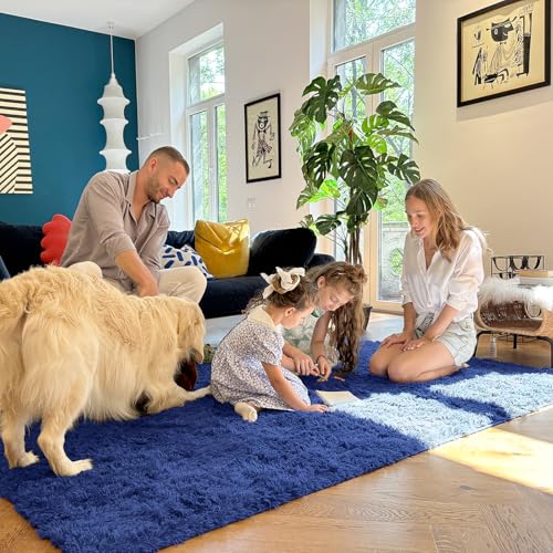 5x6 Area Rugs for Living Room Bedroom (5x6 Ft / Navy Blue)