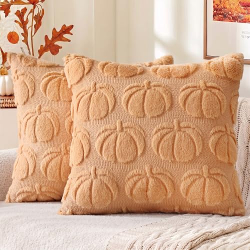 Fall Pumpkin Faux Fur Throw Pillow Covers 20x20 Set of 2 (Pumpkin / 20" x 20" (Pack of 2))