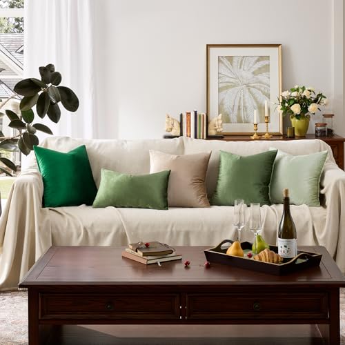 Olive Green Velvet Throw Pillow Covers 18x18 Pack of 2 (Olive Green / 18" x 18" (Pack of 2))