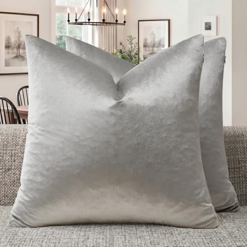 Silver Grey Velvet Throw Pillow Covers 24x24 Pack of 2 (Silver Grey / 24" x 24" (Pack of 2))