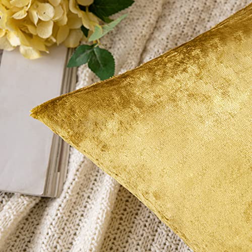 12x20 Inch Lumbar Velvet Throw Pillow Covers Golden (20" x 12" (Pack of 2) / Golden)