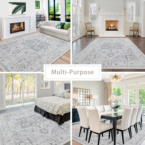 Washable Rugs 5x7 Area Rugs for Living Room (5' x 7' (Rectangular) / Grey/Cream/White/Light Blue)