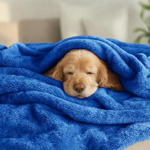 Fuzzy Plush Fleece Bed Blanket King Size (Cobalt Blue / 104x90 IN)
