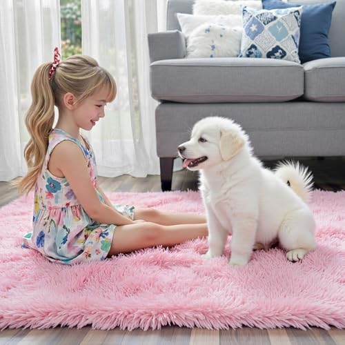 Small Shag Area Rug for Bedroom (Pink / 2' x 3' (Rectangular))