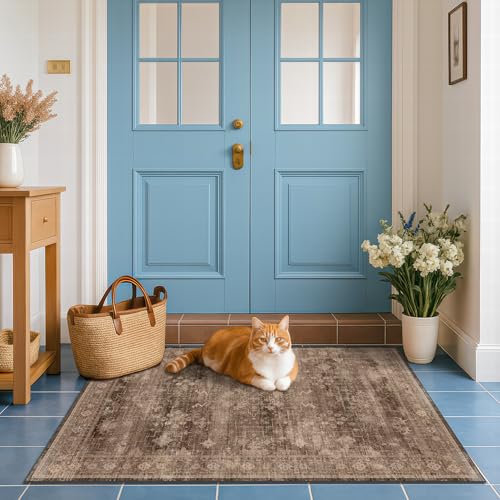 Boho Taupe Brown 3x5 Large Entryway Rug (3' x 5' (Rectangular) / Brown)